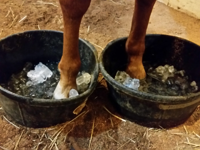 ice bath