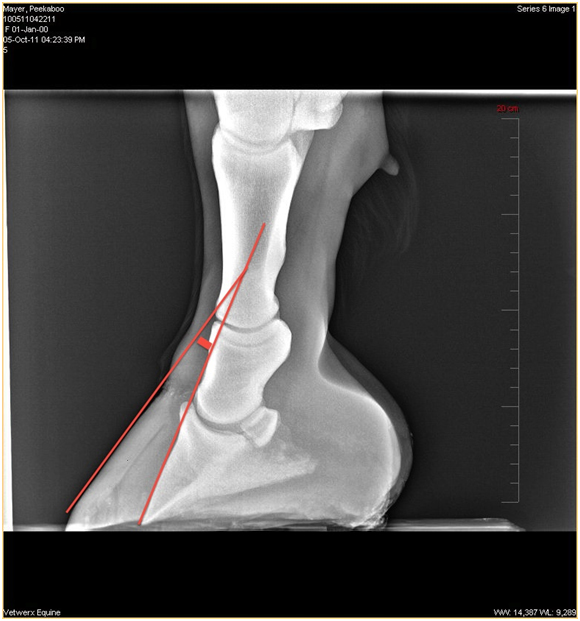 laministic xray