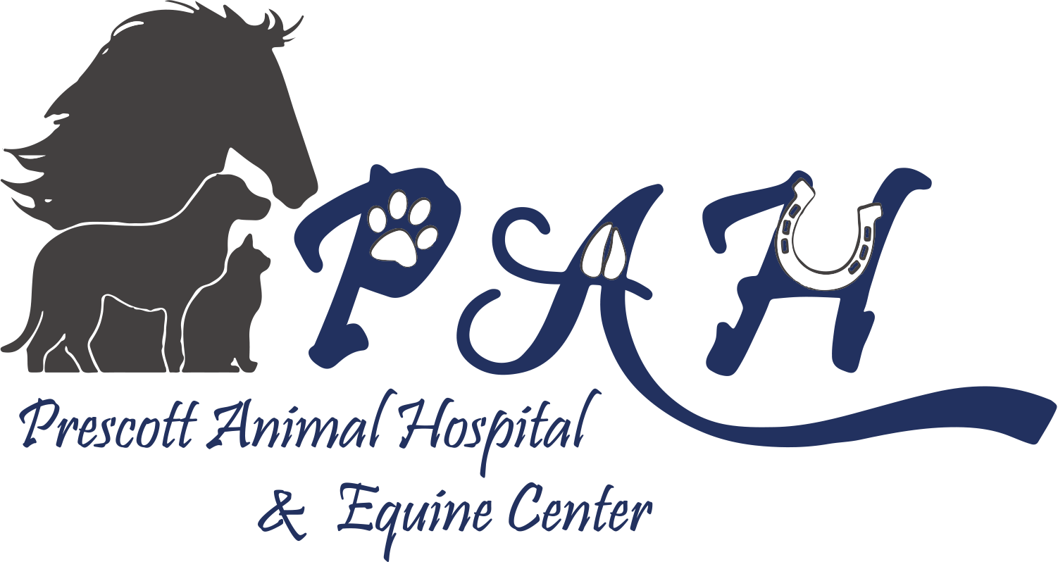 Prescott Animal Hospital Equine Center